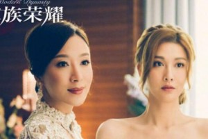 《家族荣耀》由内地平台优酷与香港制作公司寰亚传媒联合主导